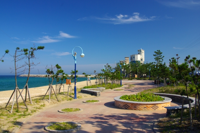 1. 안목 해변 공원